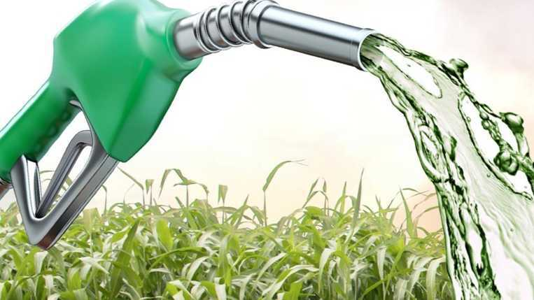 Combustibles