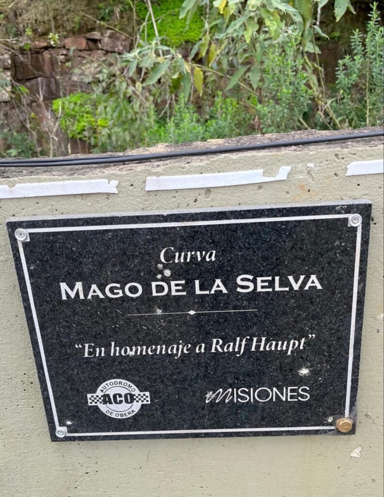 Curvas
